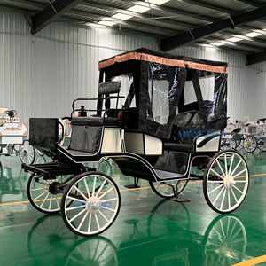 Carroza Real Eléctrica 2026 de Gran Venta para Bodas y Turismo, Carroza de Caballos Victoria para Bodas, Transporte Especial para Recorridos en Parques - Product Image 3