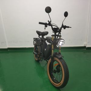 52V bici elettrica 1000W motore Bafang 22ah + 22ah doppie batterie al litio grasso pneumatico bicicletta elettrica ebike - Product Image 6