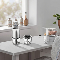 Mini hachoir 100% alimentaire 200W, robot culinaire électrique portable pour bébé, hachage de viande, haute efficacité, ménage, 300ml en verre