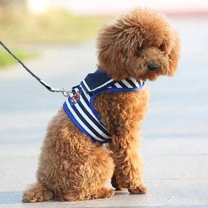 Harnais pour chien rayé bleu marine pour petits chiens, caniche, teddy, pomeranian, en polyester, avec laisse incluse - Product Image 1
