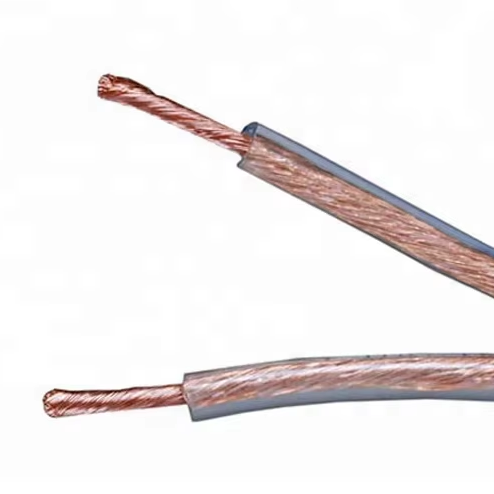 Hi-Fi Speaker Cable 12AWG Bi-Wire Design for Audiophile Stereo Systems