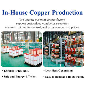 MiNZAN 1mm 1,5mm 2,5mm 4mm 6mm 1/BV 7 trenzado Solic Conductor de cobre Cable de construcción PVC aislamiento casa Cable eléctrico - Product Image 3