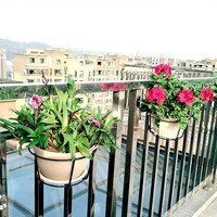Support mural suspendu pour plantes en pot et succulentes, en fer, moderne et durable, pour balcon intérieur/extérieur