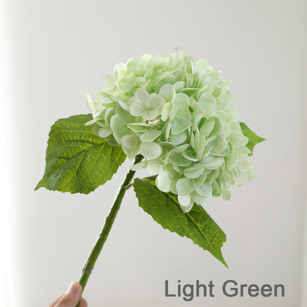 Vert clair