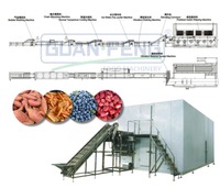Iqf Ontploffingstunnel Vriezer Automatische Bevroren Verwerkingslijn Groentefruit Zeevruchten Vleesvriezer 2000 Kg/u Prijs Instock