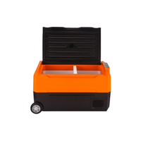 Mini-réfrigérateur portable en plastique pour voiture, glacière 12V 24V à compresseur, congélateur de voyage