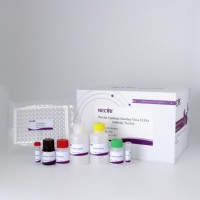 Kit ELISA PEDV pour la détection des anticorps du virus de la diarrhée épidémique porcine (PEDV) chez les porcs