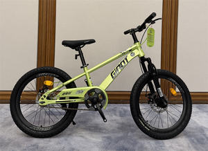 20 Inch China Popular Children <strong>Bike</strong> Student Road Bicycle Boys <strong>Girls</strong> Student Sports <strong>Bike</strong> <strong>for</strong> Children - Product Image 3