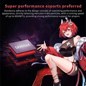 DDR5 6000MHz 32GB/<strong>16GB</strong>*<strong>2</strong> DIMM CL28 1.4V Hynix <strong>Memory</strong> ECC Desktop RAM <strong>3</strong>-Year Warranty - Product Image 5