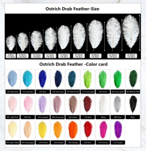 Plumes d'autruche décoratives blanches de 35-60 cm pour festivals <span class=keywords><strong>et</strong></span> mariages, idéales pour la décoration de fêtes <span class=keywords><strong>et</strong></span> événements. - Product Image 3