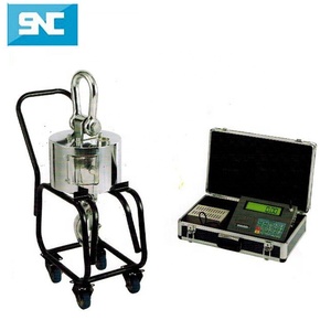 1ton 2ron 3 Tấn 5 Tấn 10ton 30ton 50ton Điều Khiển Từ Xa Điện Kỹ Thuật Số Crane <span class=keywords><strong>Scale</strong></span> - Product Image 6