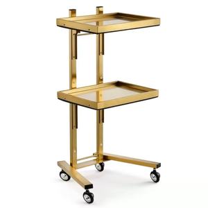 Stainless Steel Hairdressing <b>Trolley</b> for Ironing and Dyeing Foldable Storage for Car Barber Shop and Salon Home Use Metal - Product Image 1