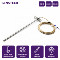 Sonde de température PT100 à haute résistance thermique avec longue sonde, bride de montage, fil de mica 4M 0508 et terminal