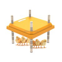 OUCHEN réglage de température constante protection de l'environnement couveuse de poulet coussin chauffant plaque chauffante poussin pour animaux de compagnie