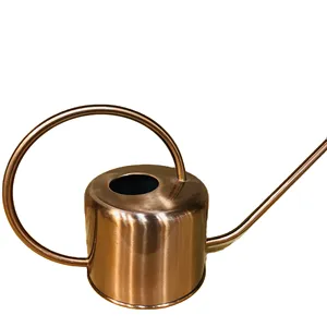 Modern Mini Household Watering Can Elegant Metal Watering Can Gold Garden Watering Can