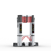 Échelle escamotable multifonctionnelle en aluminium, portable, pliable, moderne, à motif chevron noir et blanc, pour entrepôt
