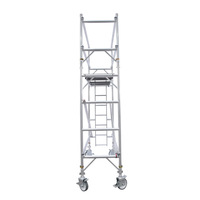 Hot-Dip Galvanized Mobile Scaffolding Fasteners Essential Construction Site Tool Supplied by Manufacturer