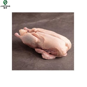 <span class=keywords><strong>Canard</strong></span> entier congelé certifié Halal avec plumes retirées pour les communautés musulmanes - Product Image 5