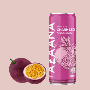 Té Kombucha del fabricante de Vietnam con excelente precio Buena fermentación Sabor a maracuyá para el cuidado de la piel - Product Image 3