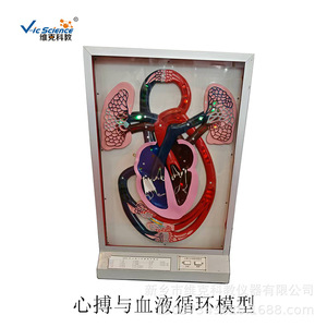 Simulateur de mouvement du diaphragme électrique ; modèle de démonstration électrique du système respiratoire - Product Image 2