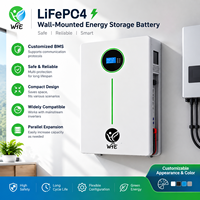 15kWh 51.2V 280Ah LiFePO4 Baterai Surya Rumah Tangga yang Dapat Ditumpuk di Dinding ESS 8000 Siklus Hybrid Grid IP20 Dalam Ruangan Garansi 10 Tahun OEM