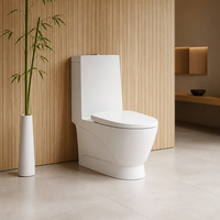 WC monobloc en céramique le plus vendu avec design en forme d'aile et abattant à fermeture douce pour salle de bain moderne – Articles sanitaires