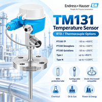Sensor Suhu Industri E+H TM131 Anti Ledakan RTD Thermocouple untuk Minyak dan Gas
