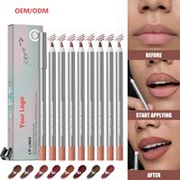 Crayon à lèvres waterproof longue tenue pour maquillage quotidien, effaçable, pour des lèvres plus pulpeuses, marque privée, rouge à lèvres nude