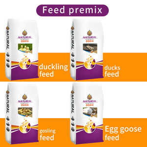 Thúc đẩy tăng trưởng dinh dưỡng thức ăn lớp động vật nhiều trứng tốt nhất premix Thức ăn cho vịt - Product Image 6