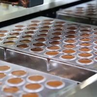 Nouvelle machine de moulage de chocolat entièrement automatique YUCHO à une seule opération, remplissage lait/noix, acier inoxydable 304, alimentation par prise, garantie 1 an