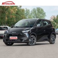 2025 BYD Seagull 305KM 405KM Range Pure Electric Mini Car EV Luxury LHD ACC de carga rápida para vehículos de nueva energía al por mayor