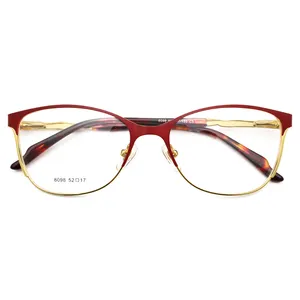 Ready Stainless Steel Optical Eyeglasses Frame Spectacle Eyewear Special Optic