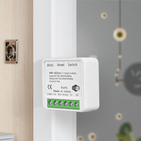 Smartdust Tuya 16A MINI WiFi Commutateur pour Smart Life Travail Alexa Google Home Alice-2-way Télécommande Minuterie Relais DIY ODM