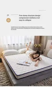 Customizable Thai Natural Rubber Latex Mattress Soft Tatami Home Furniture Unique And Comfortable Bedding