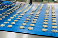Fournisseur d'usine Skywin Machine de fabrication de biscuits double couleur Machine commerciale à encroûter les biscuits au chocolat