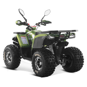 Tao Motor 2025 nouveau automatique 125cc <span class=keywords><strong>Quad</strong></span> Bike ATV entraînement par chaîne Cuatrimoto Quadriciclos ATV 125cc - Product Image 4
