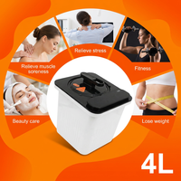 Générateur de vapeur portable 4L en acier inoxydable 304 pour hammam domestique télécommandé, alimenté par prise secteur