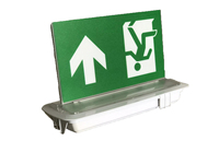 Luz de Señalización de Salida de Emergencia LED Recargable, Blanca Fría, para Seguridad contra Incendios, Empotrada en el Techo
