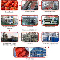 Complete Fabriek Tomatenpuree Productielijn Automatische 300T/D 500T/D 1000T/D Van Tomatenketchup Puree Verwerkingsmachines Fabriek