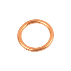 Fashion Body Jewelry 14g Seamless Stainless <strong>Steel</strong> Hinged Segment Clicker <strong>Nose</strong> <strong>Ring</strong> - Product Image 6