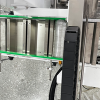 Machine d'emballage et de scellage numérique semi-automatique pour couvercles de gobelets jetables compostables en PLA, emballage en bande/film