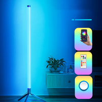 Lampe sur Pied Intelligente d'Angle pour Décoration d'Intérieur, Éclairage Moderne LED RGB