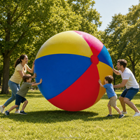 Ballon de plage gonflable géant en PVC personnalisé pour le volley-ball de plage, les fêtes, les jeux en plein air et les événements