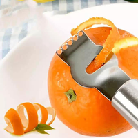 RVS handmatige fruit- en groenteschaaf voor thuiskeuken, metalen gereedschap, aanpasbaar, voor citrusvruchten en uien, alleen handwas, accessoire