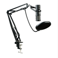 USB-C RVB filaire flux enregistrement bureau Studio Podcast ordinateur condensateur Microphone Kit enregistrement Studio équipement pour téléphone