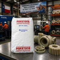 Gránulos de Poliketona POK al por Mayor, Resina en Gránulos de Alta Resistencia al Desgaste para Inyección, para Válvulas de Bomba, Minería, Engranajes Industriales, OEM