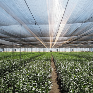 <span class=keywords><strong>Malla</strong></span> de Sombra Agrícola Reforzada de HDPE Tejida con Bordes Negros, Protección UV para Granjas, Huertos y Cultivos - Product Image 1