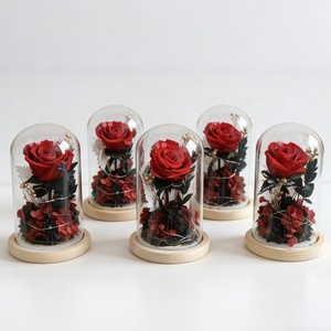 Rose éternelle sous cloche en verre, plusieurs tailles, cadeau pour la Saint-Valentin, Noë<span class=keywords><strong>l</strong></span>, décoration d'intérieur, ornement, directement <span class=keywords><strong>de</strong></span> <span class=keywords><strong>l</strong></span>'usine - Product Image 5