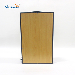 Modèle anatomique dynamique de la formation de l'urine - Sciences médicales en plastique PVC - Product Image 3