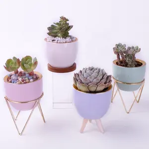Dekorasi Mini Kaktus Sukulen Taman Keramik Pot Bunga Cache Pot